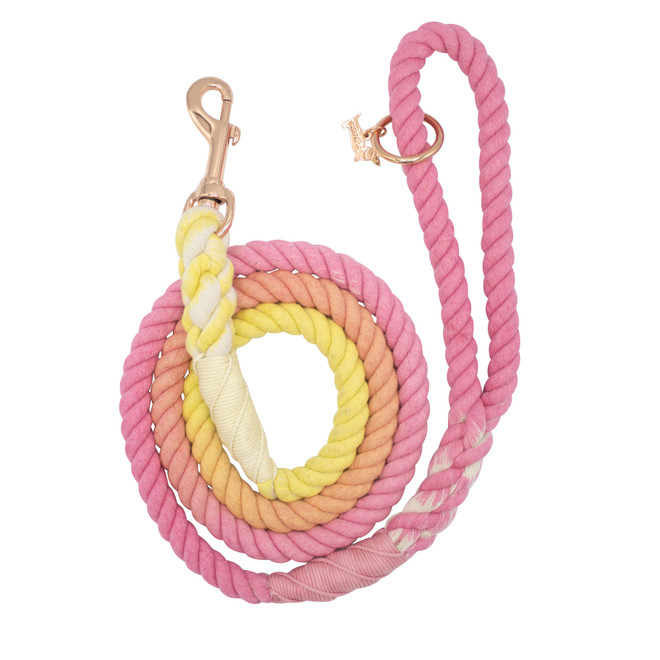 Dog Rope Leash - Sunkissed