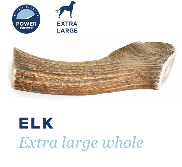 Barkworthies Elk XL Whole Antler 