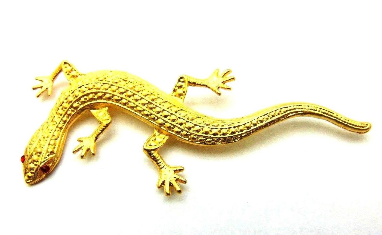 Pin on Snakes, frogs and lizards