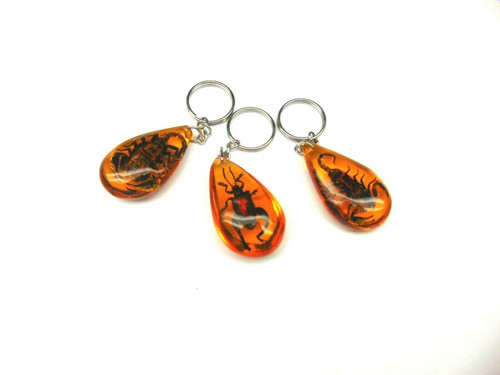 3 Beetle Bug Scorpion Key Chain Amber Lucite Scarab Keychain