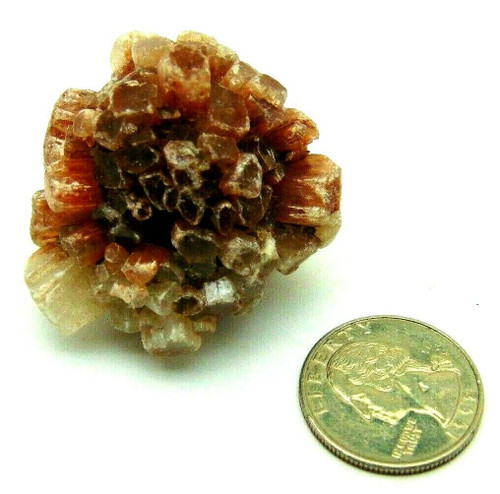 Aragonite "Sputnik" Morocco - 60 g - 4.75" x 4" Crystal Cluster Rock DazzleCity