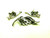 PELL Clip Earring Set Pin Rhinestone Crystal Leaf Brooch Signed