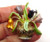 Tulip Vase Leaves Pin Basket Rhinestone Crystal Brooch