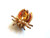 Ladybug Pin Red Rhinestone Crystal Brooch Scarab