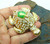 Turtle Trinket Box Desert Sea  Mom Baby  Rhinestones Magnetic Closure