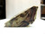 Petrified Wood Paradise Valley MT Slab Rock Polished Specimen Ancient