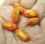 1950's Japanese Gold Foil Beads Lot 6 Japan Orange RARE Bead Vintage DazzleCity