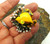 Tang Angel Puffer Fish Pin Pearls Brooch DazzleCity