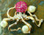 Octopus Pin Brooch Rhinestone Pearl Crystal Squid