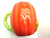 Susan Winget Halloween Pumpkin Witch Cat Ghost Ceramic Mugs