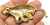 Leopard Pin Jaguar Puma Brooch Exotic Big Cat Running