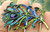 Peacock Feather Pin Rhinestone Crystal Smaller Brooch DazzleCity