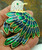 Parrot Pin Must Love Big Rhinestone Crystal Bird DazzleCity
