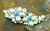 Shimmering Floral Pin Frosty Winter Colors Rhinestone Crystal Brooch DazzleCity