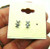 Teddy Bear Sterling Silver Earrings Pierced Panda Post Stud 925