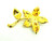Daisy Flower Pin Rhinestone Crystal Pearl Brooch