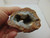 Crystal Geode for Slicing Specimen Rock Agate