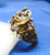 Safari Ring Sterling Zebra Giraffe Tiger Elephant 925 Signed OTT BeadRage