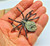 Spider Pin  Steampunk Watch Rhinestone Goth Teckno Brooch Necklace