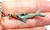 Shark Hammerhead Charm 925 Sterling Silver  Vintage 3-D