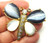 Butterfly Pin Glass Wings Bug Brooch DazzleCity