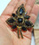 Vintage 1940's Pin Jet Brooch Rhinestone Antique BeadRage