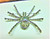 Monster Spider Pin Tarantula Bug Halloween Rhinestone Crystal Brooch DazzleCity