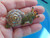 Snail Slug Escargot Pin AB Rhinestone Crystal Brooch BeadRage