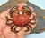 Heidi Daus Red Rhinestone Crab Brooch Pin BeadRage