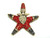 Santa Claus Star Pin Brooch Christmas Crystal Rhinestone BeadRage