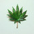 Cannabis Weed Leaf Pin Brooch Pendant Pot Plant  BeadRage