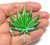 Cannabis Weed Leaf Pin Brooch Pendant Pot Plant  BeadRage