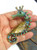 Seahorse Pin King Crown Shell AB Rhinestone Crystal DazzleCity