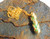 Golden Jade Dragon Necklace Serpent Chrysoprase 24" DazzleCity