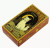 Cats Rule The Earth Tarot Fortune Telling Card Games DazzleCity