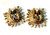 Blazing Sun Earrings Flower Clip Vintage 90's Mint NBW DazzleCity