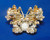 Lavender Butterfly Pin Floral Beauty Faux Pearl DazzleCity