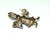 White Rabbit Pin Alice Brooch Rhinestone Crystal Cartoon Gorgeous DazzleCity