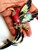 Bird Pin Crystal Woodpecker Rhinestone Humming Paradise Tropical Enamel