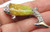 Koi Catfish Pin Cat Fish Jelly Belly Body Rhinestone Crystal Brooch