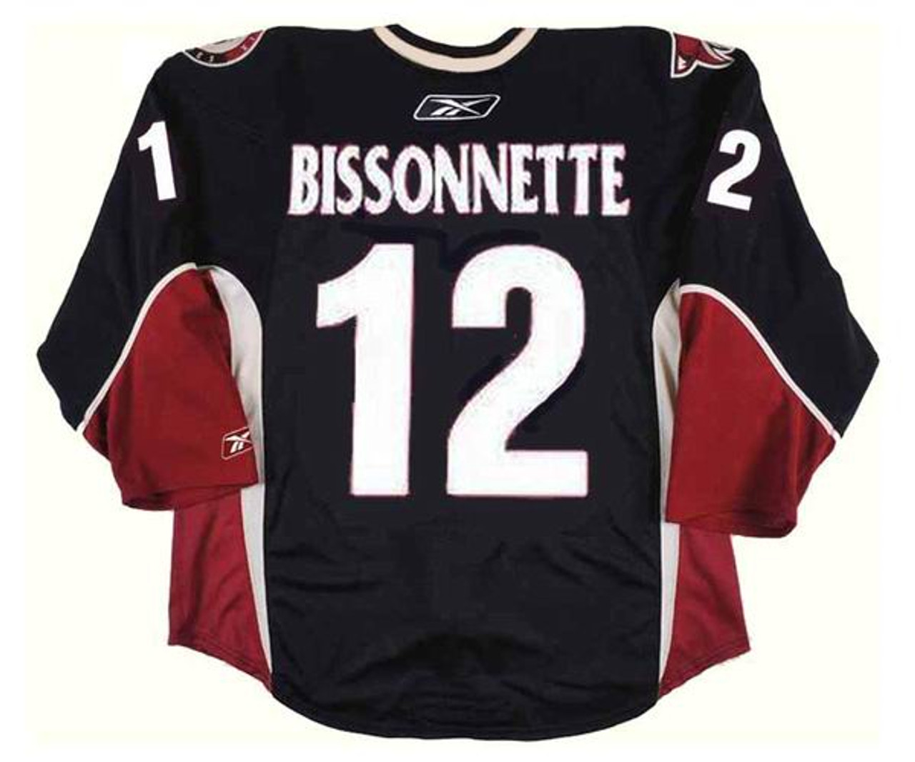 Paul Bissonnette 2009-2010 Phoenix Coyotes Red Set 1 Game Worn