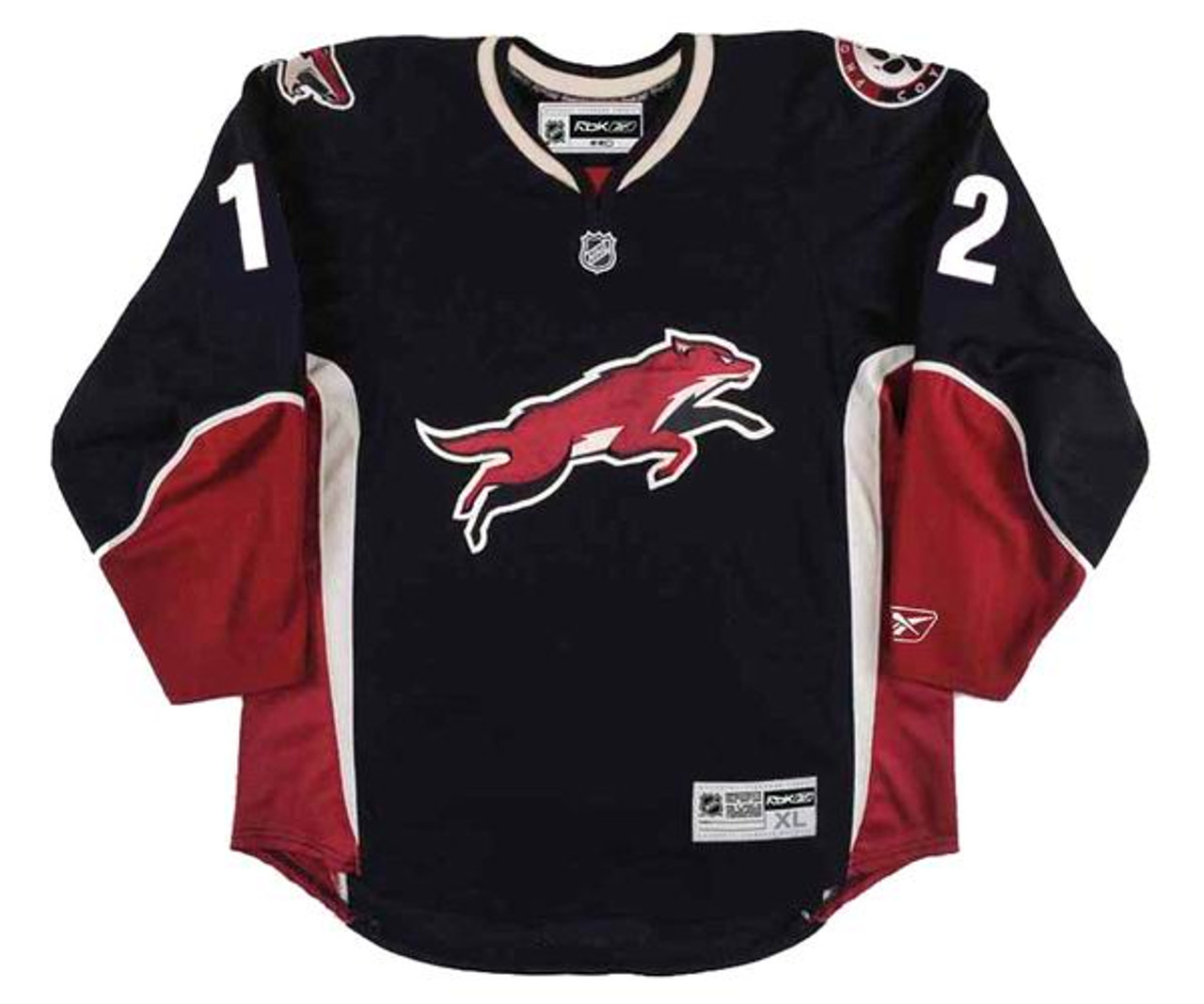 Paul Bissonnette 2009-2010 Phoenix Coyotes Red Set 1 Game Worn