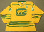 REGGIE FLEMING Chicago Cougars 1973 WHA Throwback Hockey Jersey