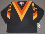 RICHARD BRODEUR Vancouver Canucks 1984 CCM Throwback NHL Hockey Jersey