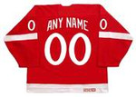 DETROIT RED WINGS 1982 CCM Vintage Jersey Customized "Any Name & Number(s)"