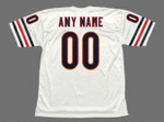 CHICAGO BEARS 1970's Away Throwback NFL Customized Jersey - BACK