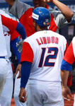 FRANCISCO LINDOR Puerto Rico 2017 World Baseball Classic Throwback Jersey - ACTION