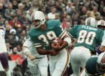 MIAMI DOLPHINS 1970's Home Throwback NFL Jersey Customized Jersey - ACTION