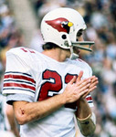 ROGER WEHRLI St. Louis Cardinals 1974 Throwback NFL Football Jersey - ACTION