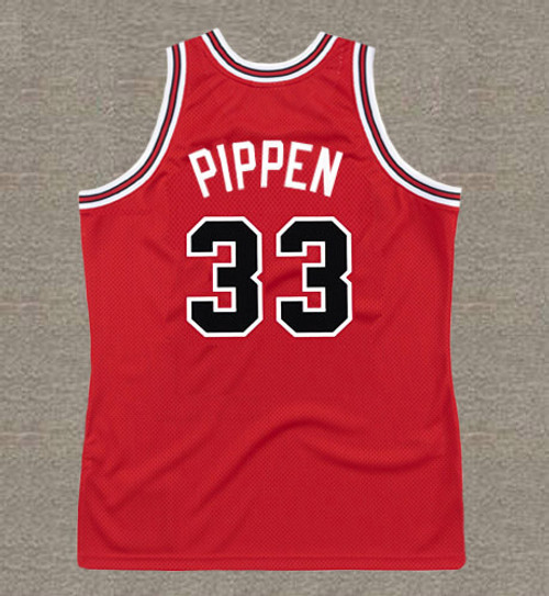 SCOTTIE PIPPEN Chicago Bulls 1989 Throwback NBA Basketball Jersey - BACK